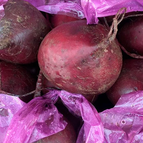 Купить свеклу оптом Уэст-Джордан