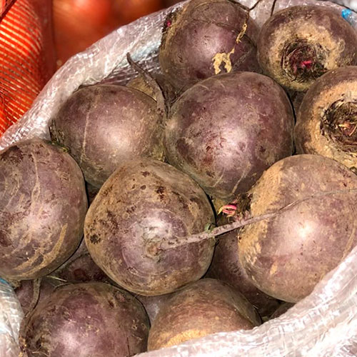 Купить свеклу оптом Уиннемакка