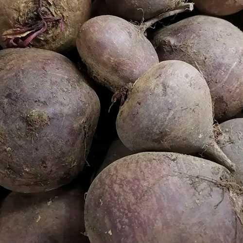 Купить свеклу оптом Гисен