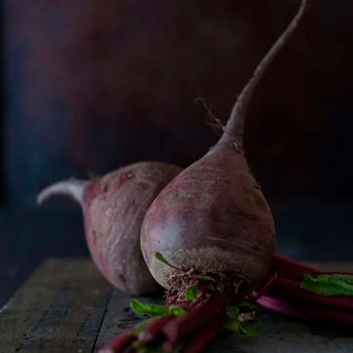 Купить свеклу оптом Элсмир