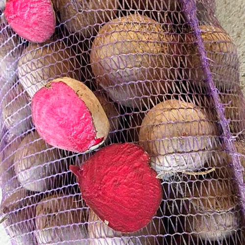 Купить свеклу оптом Артик