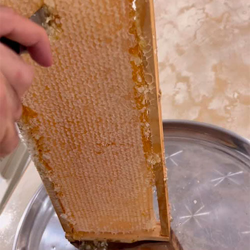 Натуральный мёд Патерсон