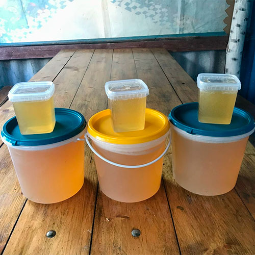 Натуральный мёд Хотин