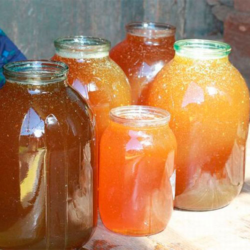 Натуральный мёд Раквере