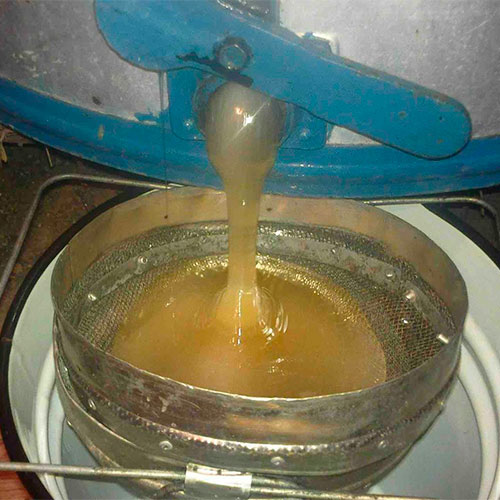 Натуральный мёд Де-Мойн