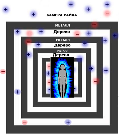 Схематическое представление камеры Райха