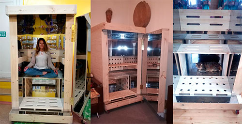 Девушка в кабине Райха